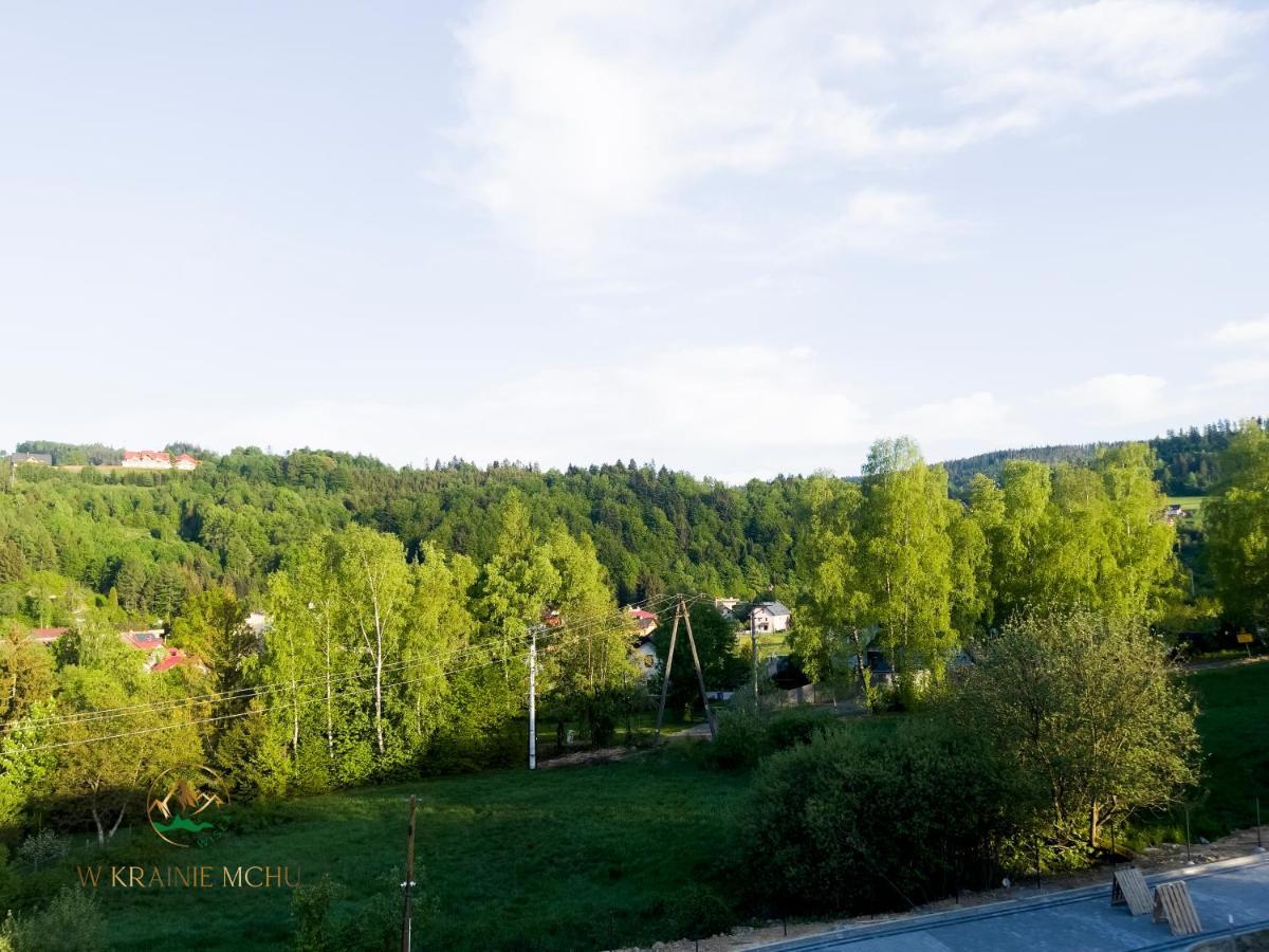 Apartamenty "Kwiaty Nocy" I "W Krainie Mchu" - Вісла Екстер'єр фото